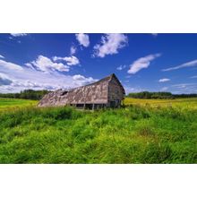 Abandoned Barn Wall Mural