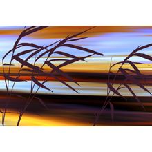 Sunset Breeze 1 Wall Mural