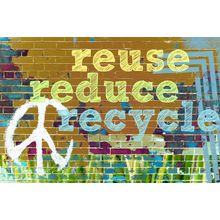 Reuse, Reduce, Recycle Wall Mural