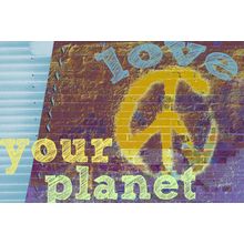 Love Your Planet Wall Mural