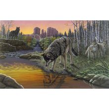 Reflections Wall Mural