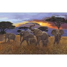 Sunset On Kilimanjaro Wall Mural