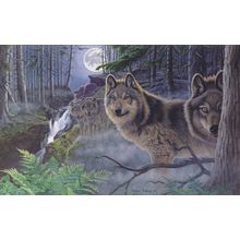 Mystical Moonlight Wall Mural