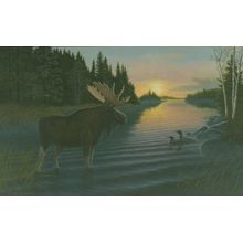 Misty Morning Moose Wall Mural