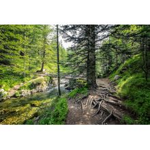 Mercantour National Park Wall Mural