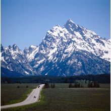 Grand Teton Travelers Wall Mural