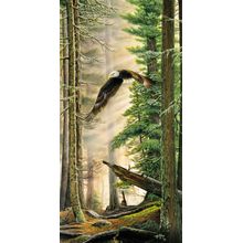 American Heritage Wall Mural