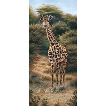 Curious Approach Wall Mural