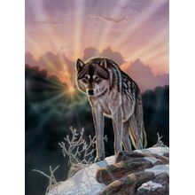 Dawns Early Light Wall Mural