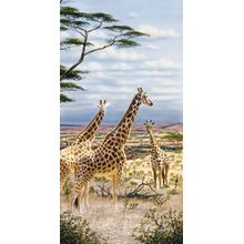 Giraffes In Serengeti Wall Mural
