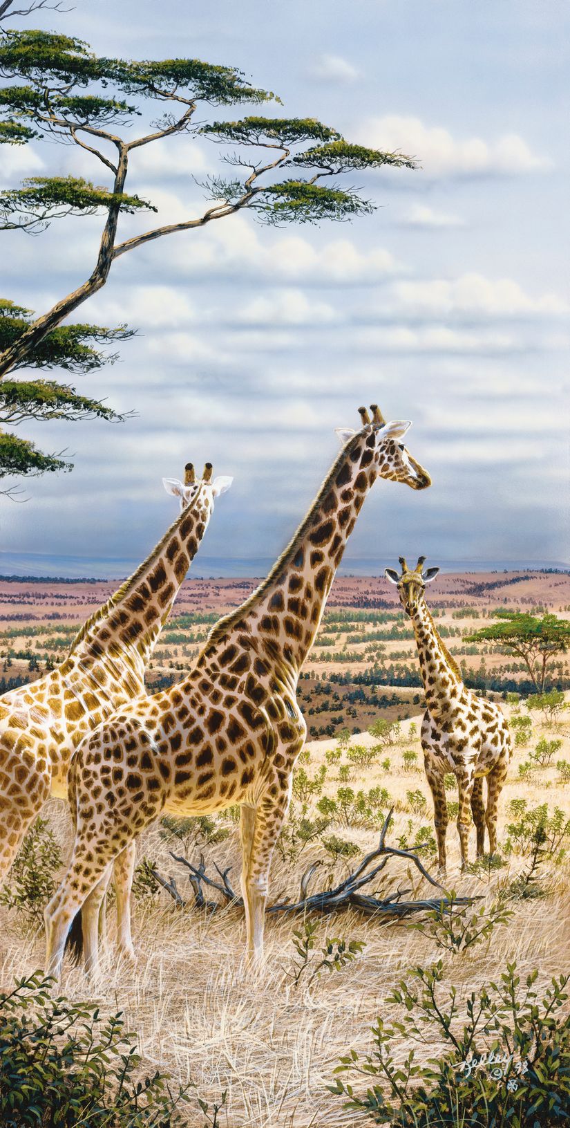 Giraffes-In-Serengeti-Mural-Wallpaper