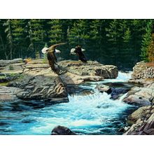Spirit Of Mcdonald Creek Wall Mural