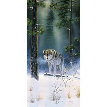 The Shadow Hunter Wall Mural
