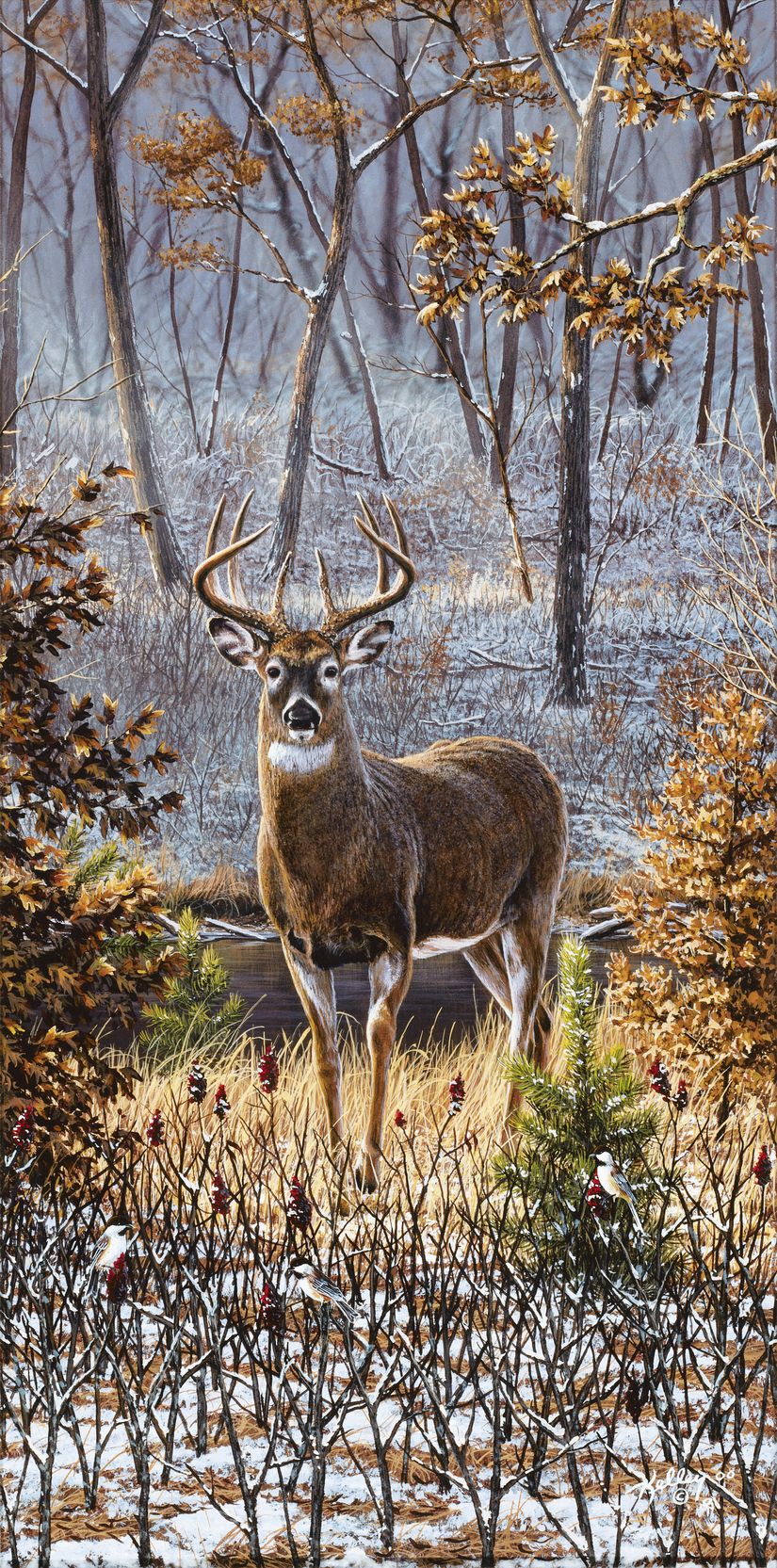 whitetail buck snow wallpaper