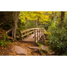 Tanawha Bridge in Fall Wall Mural