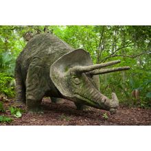 Dinosaur At Bongoland Wall Mural