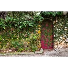 Garden Cottage Door Wall Mural