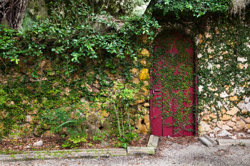 Garden-Cottage-Door-Wall-Mural