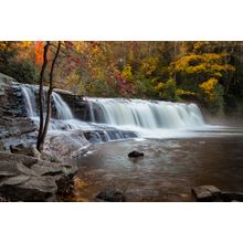 Hooker Falls With Dogwood - Blue Ridge Waterfall Wall Mural