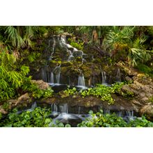 Tropical Waterfall 1 - Florida Wall Mural