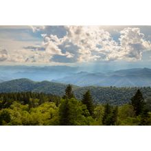 Summer Daze On The Blue Ridge Parkway Wall Mural