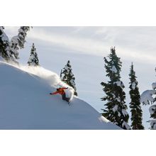 Mt. Baker Snowboarding Wall Mural