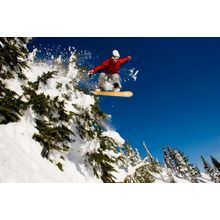 Steven's Pass Wall Mural
