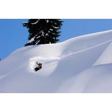 Mt. Baker Backcountry Wall Mural