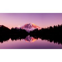 Mt. Rainier Reflected in Summit Lake Wall Mural