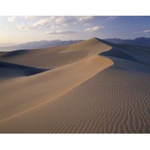 Sands of Time Wall Mural