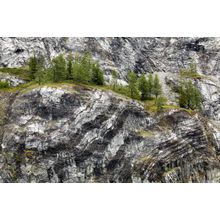 Tarr Inlet, Glacier Bay Wall Mural