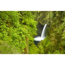 Metlako Falls In Spring Wall Mural
