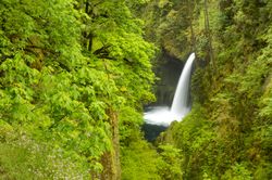 Metlako-Falls-in-Spring-Mural-Wallpaper