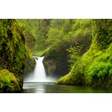Punchbowl Falls in Spring Wall Mural