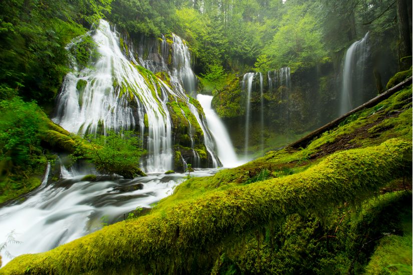 Panther-Creek-Falls-in-Spring-Wall-Mural