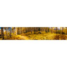 A Sea Of Fall Wall Mural