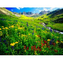 American Basin Wall Mural