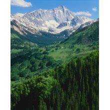 Capitol Peak In Spring Wall Mural
