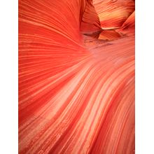 Coyote Buttes Wall Mural