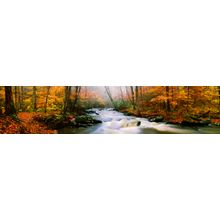 Fall On Watahootchie River, West Virginia Wall Mural