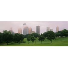 Foggy Morning In Houston Wall Mural