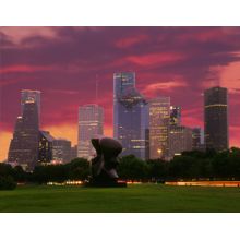 Houston Park At Dusk Wall Mural