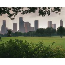 Houston Skyline From Memorial Park Wall Mural