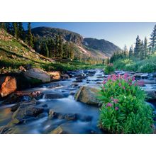 Indian Peaks Wilderness Wall Mural