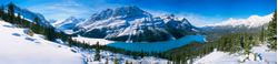 Peyto-Lake-In-The-Canadian-Rockies-Wall-Mural