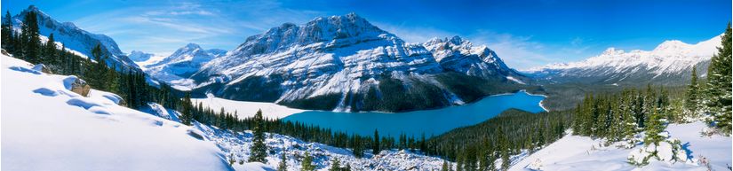Peyto-Lake-In-The-Canadian-Rockies-Wall-Mural