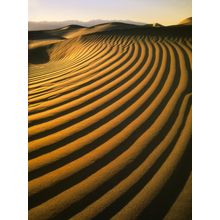 Death Valley Curved Dunes Mural Wallpaper