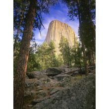 Devil's Tower Wall Mural