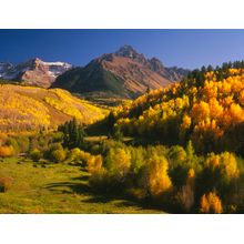 Mount Sneffels In Fall Wall Mural