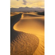 Sand Dunes Death Valley Mural Wallpaper